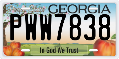 GA license plate PWW7838