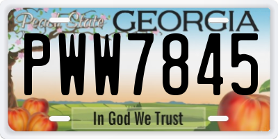 GA license plate PWW7845
