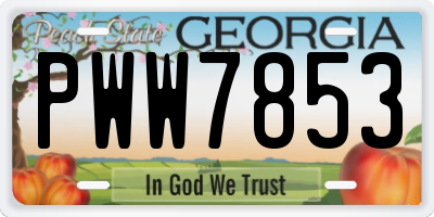 GA license plate PWW7853