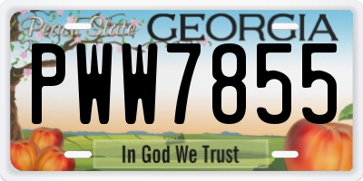GA license plate PWW7855