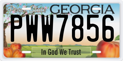 GA license plate PWW7856