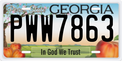 GA license plate PWW7863