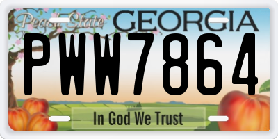 GA license plate PWW7864