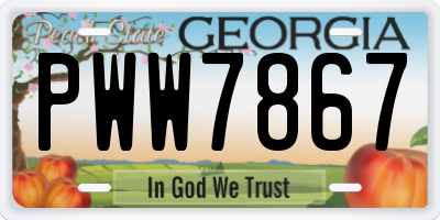 GA license plate PWW7867