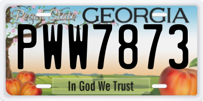 GA license plate PWW7873