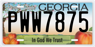 GA license plate PWW7875