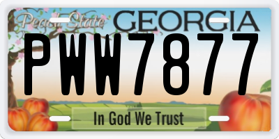 GA license plate PWW7877