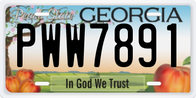 GA license plate PWW7891
