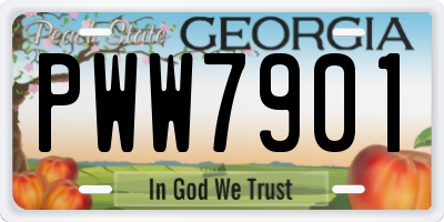 GA license plate PWW7901