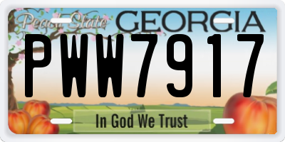 GA license plate PWW7917