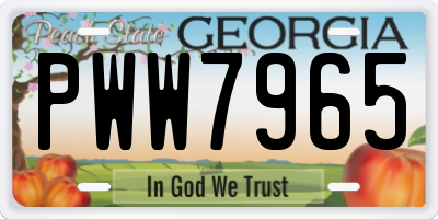 GA license plate PWW7965