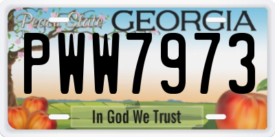 GA license plate PWW7973