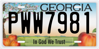 GA license plate PWW7981