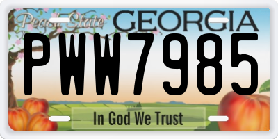 GA license plate PWW7985