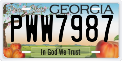 GA license plate PWW7987