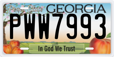 GA license plate PWW7993