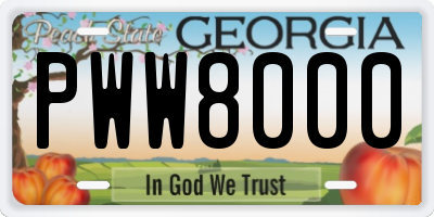 GA license plate PWW8000
