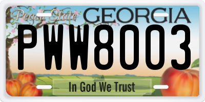 GA license plate PWW8003