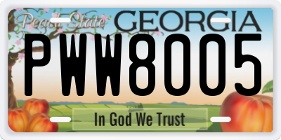 GA license plate PWW8005