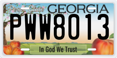 GA license plate PWW8013