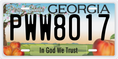 GA license plate PWW8017