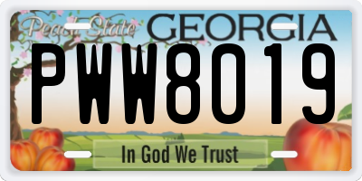 GA license plate PWW8019