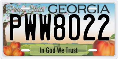 GA license plate PWW8022