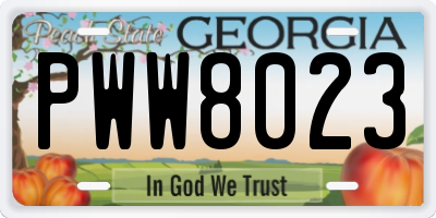 GA license plate PWW8023