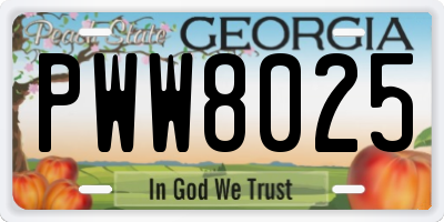 GA license plate PWW8025