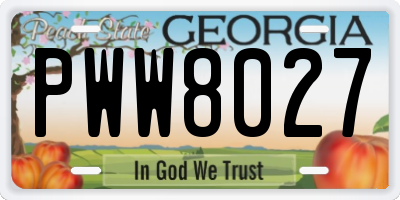 GA license plate PWW8027