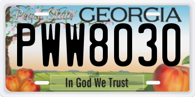 GA license plate PWW8030
