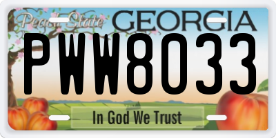 GA license plate PWW8033