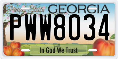 GA license plate PWW8034