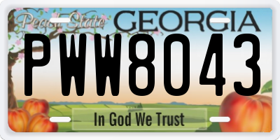 GA license plate PWW8043