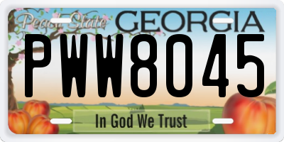 GA license plate PWW8045