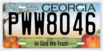 GA license plate PWW8046