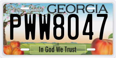 GA license plate PWW8047