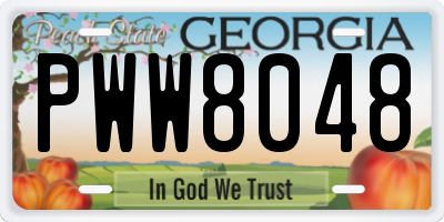 GA license plate PWW8048