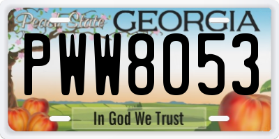 GA license plate PWW8053