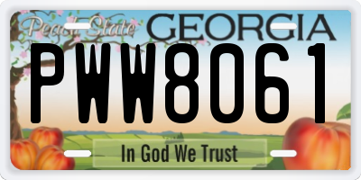 GA license plate PWW8061
