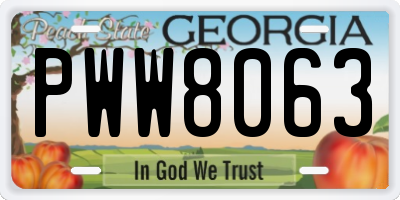 GA license plate PWW8063