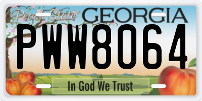 GA license plate PWW8064