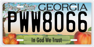 GA license plate PWW8066