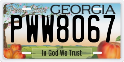 GA license plate PWW8067