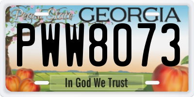 GA license plate PWW8073