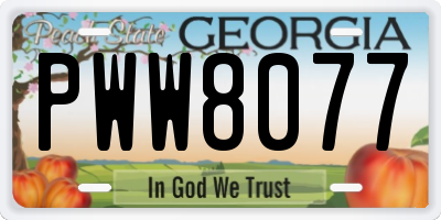 GA license plate PWW8077
