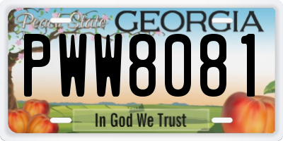 GA license plate PWW8081