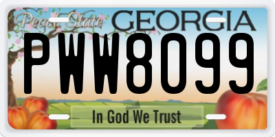 GA license plate PWW8099