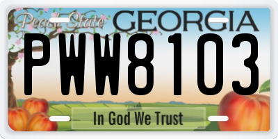 GA license plate PWW8103