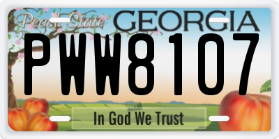 GA license plate PWW8107